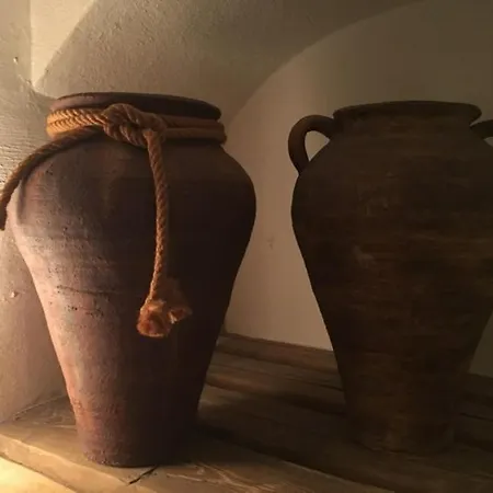 Orman Evi Continental Ostružná