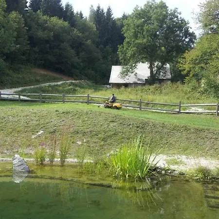 Orman Evi Continental *