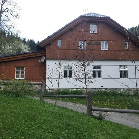 Continental * Ostružná