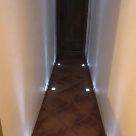 Orman Evi Continental *