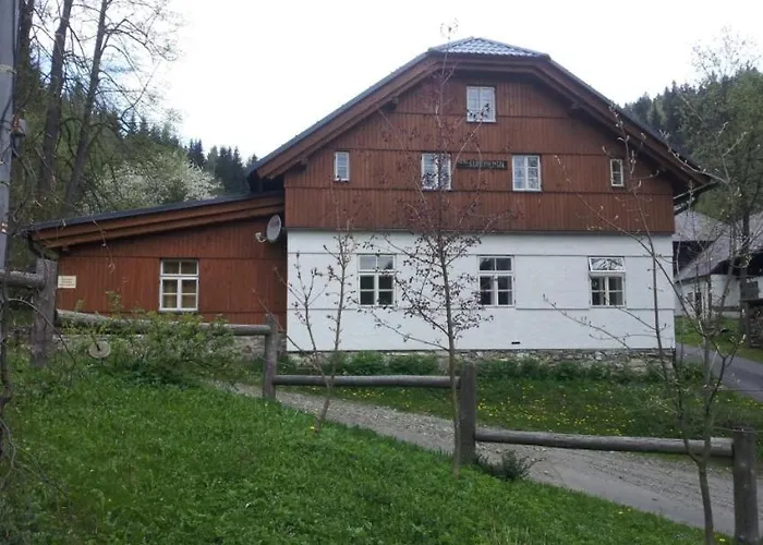 Continental * Ostružná